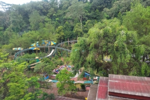 Jakarta : Safari Park Show, Tea Plantation & Waterfall