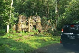 Jakarta : Safari Park Show, Tea Plantation & Waterfall