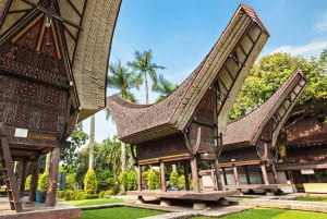 Jakarta: Setu Babakan og Taman Mini Indonesia Indah Tour