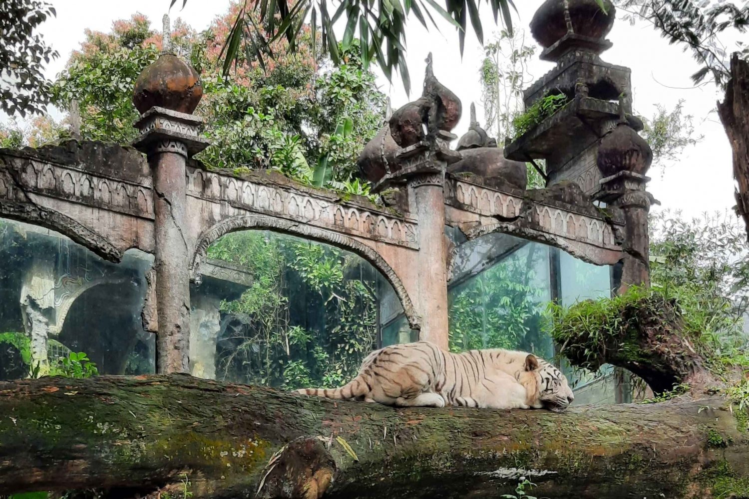 Jakarta : Taman Safari, Panda Palace, and Waterfall