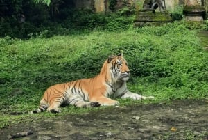 Jakarta : Taman Safari, Panda-palasset og fossen