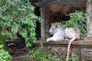 Jakarta : Taman Safari, Panda-palasset og fossen