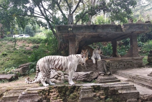 Jakarta : Taman Safari, Panda-palasset og fossen