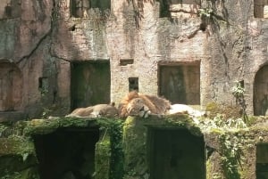ジャカルタ：タマンサファリ、パンダ宮殿、滝