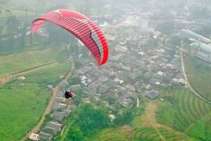 Jakarta Tour : Paragliding Top Mountain & Tea Plantation