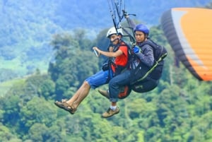 Jakarta Tour : Paragliding Top Mountain & Tea Plantation