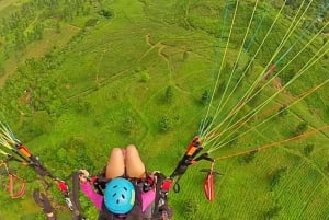 Jakarta Tour : Paragliding Top Mountain & Tea Plantation