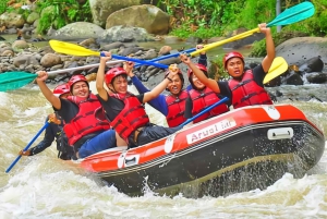Excursión a Yakarta : Rafting Crusher y Juegos de Paintball