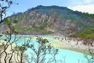 Jakarta Tour: White Crater, Best Indonesia Coffee, Hotspring