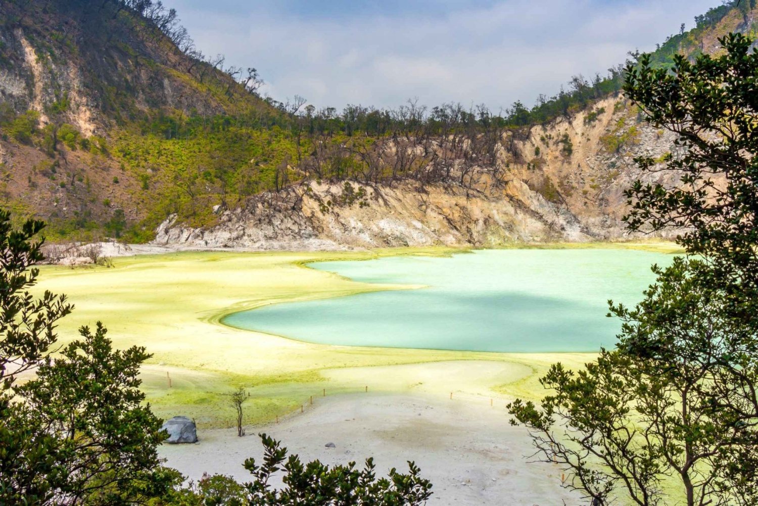 Jakarta: Volcanic White Crater Lakes & Tea Plantations Tour