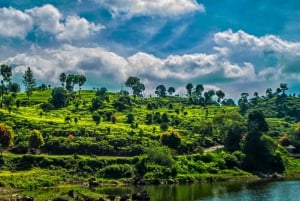 Jakarta: Volcanic White Crater Lakes & Tea Plantations Tour