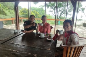 Jakarta : Volcan, source d'eau chaude, usine de thé et café Luwak