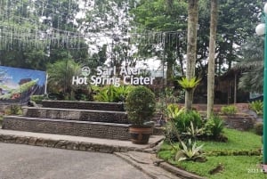 Yakarta: Excursión al Volcán, Aguas Termales, Fábrica de Té y Café Luwak