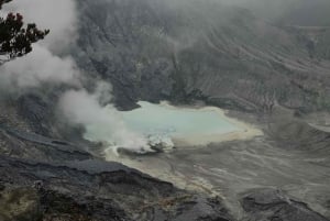 Jacarta: Excursão ao vulcão, fontes termais, fábrica de chá e café Luwak