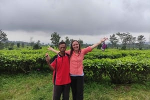 Dżakarta: Wycieczka do wulkanu, gorących źródeł, fabryki herbaty i Coffee Luwak