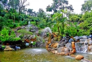 Jakarta : Volcan, Production de café indonésien, Source chaude