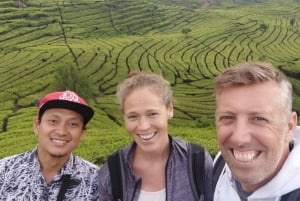 Yakarta: Excursión de un día al Volcán Bandung Lembang