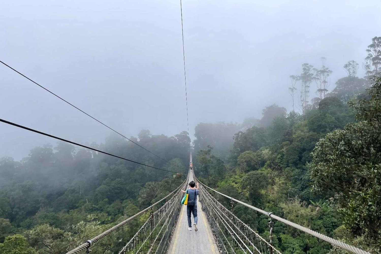 Jakarta: Volcano, Suspension Bridge and Hot Spring