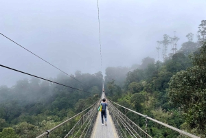 Jakarta: Volcano, Suspension Bridge and Hot Spring