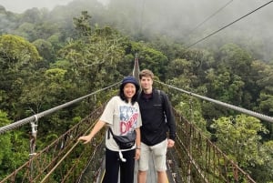 Jakarta: Volcano, Suspension Bridge and Hot Spring