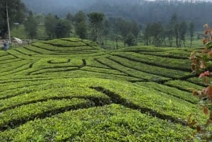 Jakarta: Volcano, Suspension Bridge and Hot Spring