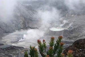 Jakarta: Volcano, Tea/Rice Fields, Hot Spring, Local Food