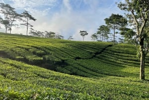 Jacarta: Vulcão, campos de chá/arroz, fontes termais, comida local
