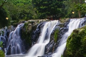 Jacarta : Excursão ao vulcão, cachoeira Maribaya, o melhor café