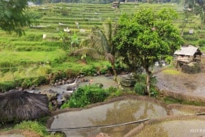 Yakarta: Excursión al volcán, la cascada y la hermosa aldea local