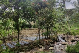 Jakarta: Tulivuori, vesiputous &kaunis paikallinen kyläkierros.