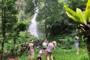 Jakarta: Vulkan, Wasserfall & schönes Dorf Tour