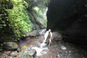 Jakarta : Cascades, volcan, cratère blanc, thé, source d'eau chaude