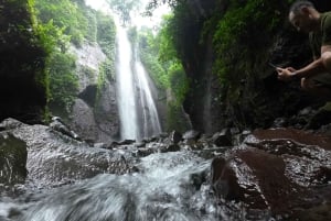 Jakarta : Cascades, volcan, cratère blanc, thé, source d'eau chaude