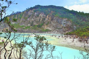 Jakarta: White Crater, Tea Plantation By fast Train