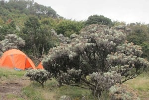 Mount Gede: 2-Day Hiking and Camping Adventure from Jakarta