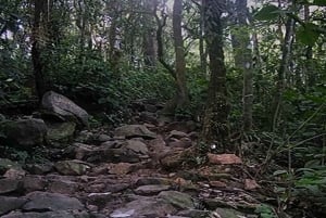 Mount Gede: 2-Day Hiking and Camping Adventure from Jakarta