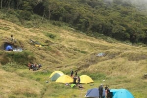 Mount Gede: 2-Day Hiking and Camping Adventure from Jakarta