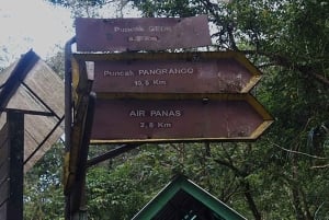 Mount Gede: 2-Day Hiking and Camping Adventure from Jakarta