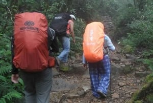 Mount Gede: 2-Day Hiking and Camping Adventure from Jakarta