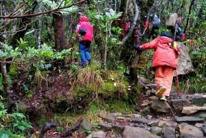 Mount Gede: 2-Day Hiking and Camping Adventure from Jakarta