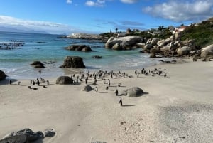 Private Cape Peninsula with Winelands Full-day Tour.