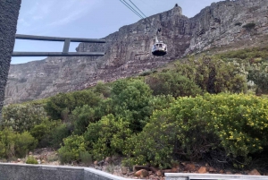 Excursão de 1 dia a Robben Island e Table Mountain na Cidade do Cabo
