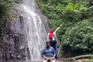 Taman-safari og teplantagetur i Puncak