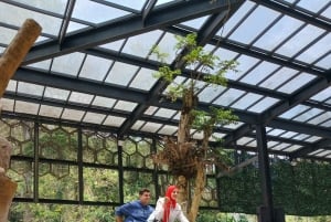 Taman-safari og teplantagetur i Puncak