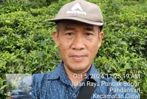 Taman-safari og teplantagetur i Puncak