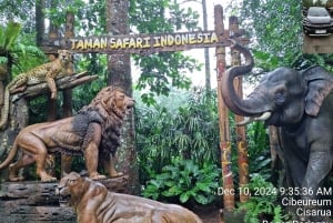 Taman-safari og teplantagetur i Puncak
