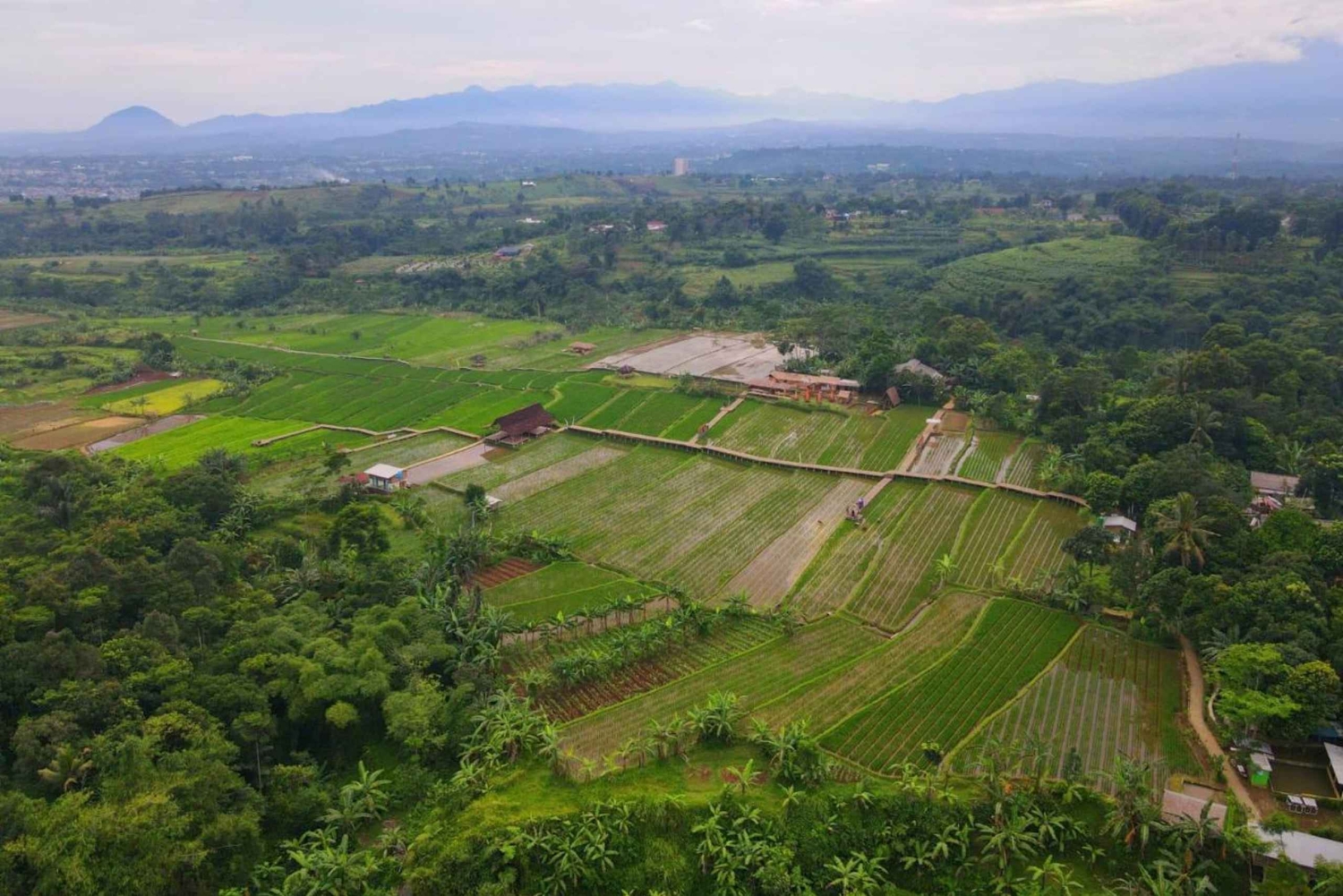 Piękny ogród, taras ryżowy i wodospad w Bogor