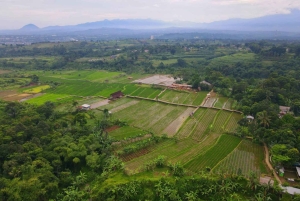 Piękny ogród, taras ryżowy i wodospad w Bogor