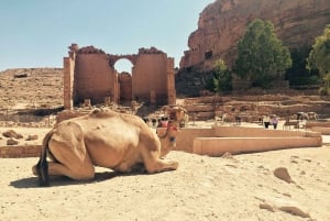 Aqaba, Petra & Wadi Rum Glamping, 3 dagen vanuit Jeruzalem
