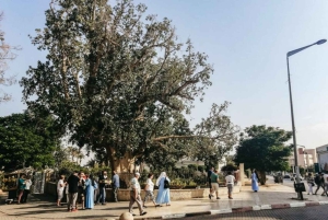 Prywatna wycieczka po Betlejem, Jerychu i rzece Jordan